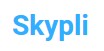 useful information skype accounts